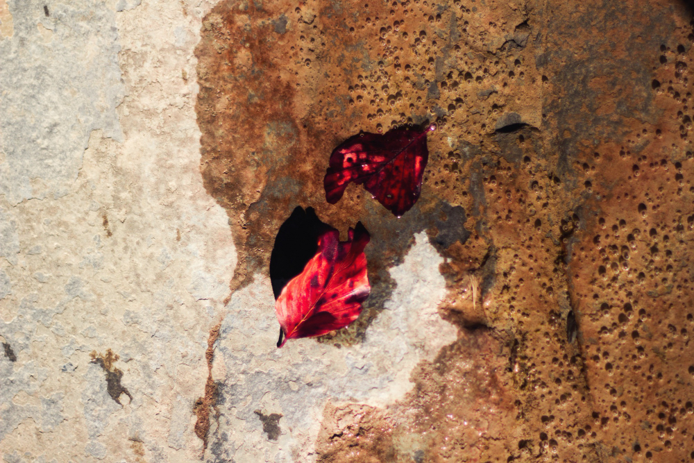 Types of Corrosion | Early Detection and Prevention | Nirvaan